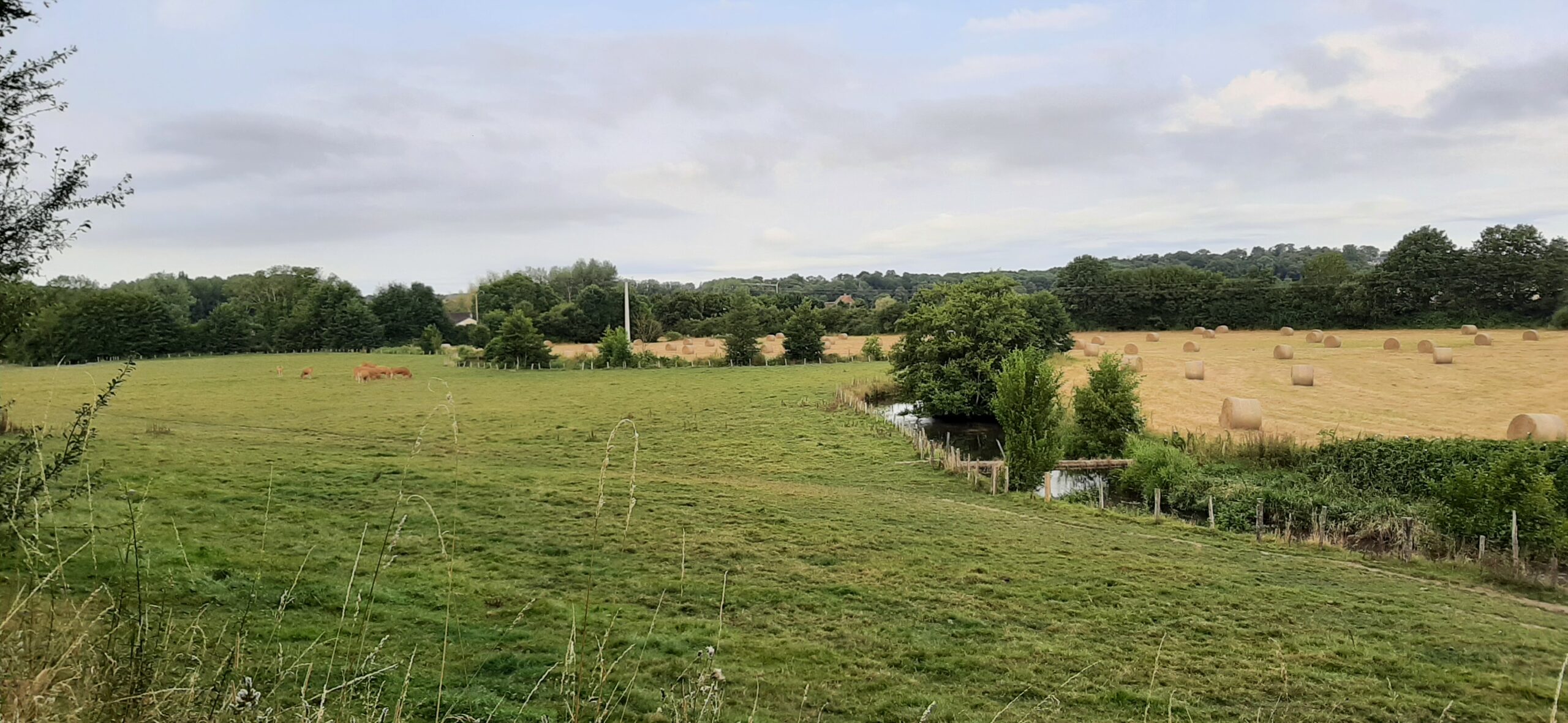 Comice agricole de Sablons sur Huisne